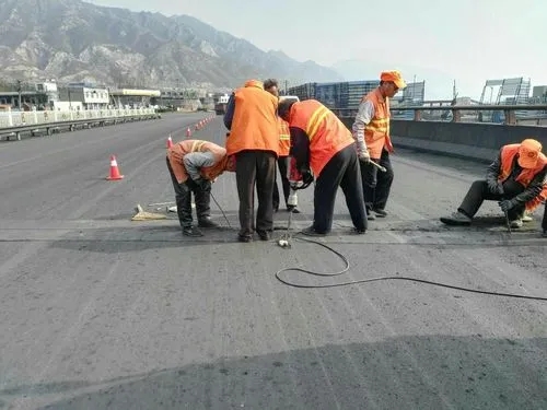 师宗道路桥梁病害治理